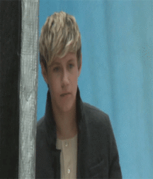 Niall Crush  58e69432b06b7.gif