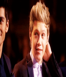 Niall Crush  58e694cbbf5a5.gif