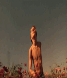 Leo Crush  58e69e629d683.gif