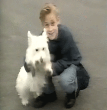 Ryan  58e7d946cf17a.gif