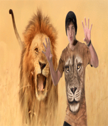 Mix Of Stuff 16 58fe11c008918.gif