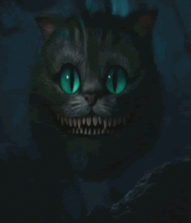 Mix Of Stuff 17 59074b64546ed.gif