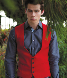 Dylan 5931125d6d1e0.jpg