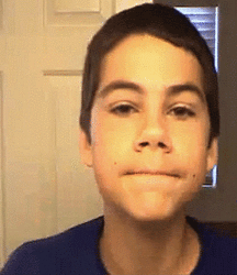 Dylan 59311273eef93.gif