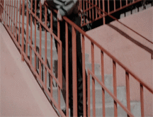 Mix Of Stuff 26 59497f14007ad.gif