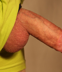 nice cocks 590b7abf0ae19.jpg