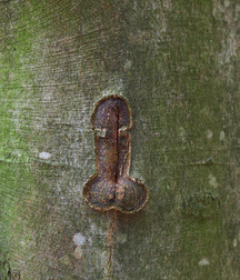 outdoor collection boys porn 6025a56d7ecee.jpg