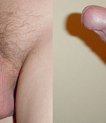 Boys And Cocks 58d065425ffa4.jpg