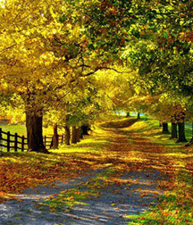 My photo gallery 58d067238a16a.jpg