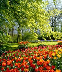 My photo gallery 58d0674591d5e.jpg