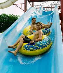 Surf Boys assorted (03) 58fdd65b33db9.jpg