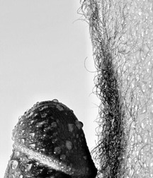 very artistic gay porn tube 5fece30454ea5.jpeg