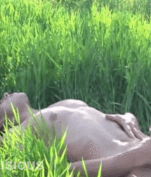 artistic gay teen porn 5ff9fd4505c84.gif