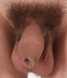 artistic gay teen porn 5ff9fe6140f4e.jpg