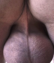 PIECES of FUN 56e1761895a7d.jpg