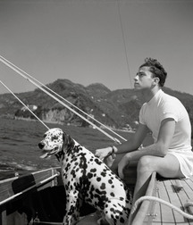 So BRITISH 578649d1623ed.jpg