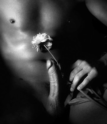 Friday day Dream 5791fee7ccdf5.jpg