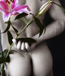 Flowers and Fruits 579514ba1eef1.jpg