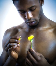 Flowers and Fruits 579514babde2a.jpg
