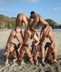 Sand and Crustaceans 57a24ffbbe6d6.jpg