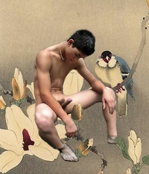 COLLAGES 57a4fe66713fa.jpg