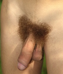 A bit of Freshness 57b75d19928dd.jpg