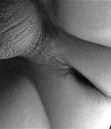 Desires and Stirrings 57b8b53f2ea15.jpg