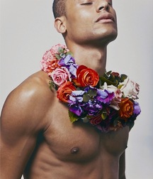 Flowers for mister Blandish 57cf2a95c97c4.jpg