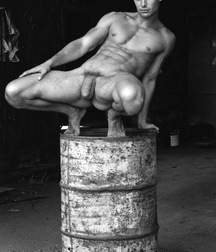 Walnut, Quinces, Sweet chestnuts 57f551aab98f0.jpg