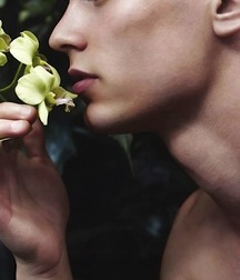 Here are Flowers and Fruit for My Friend 57f94db3d2d4f.jpg
