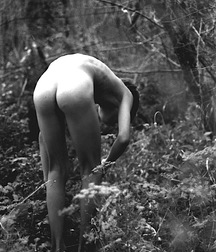 Adolescences 58b0944fc1f76.jpg