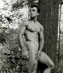 Well Caring for your Tree 591e0a7e22772.jpg