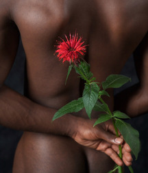 Wyatt loves flowers 594ec1c4c17b6.jpg