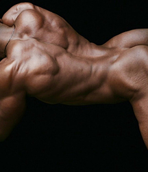Muscular Everywhere 59ef96ec02187.jpg