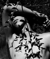In the Garden of my Heart 5a10968d81599.jpg