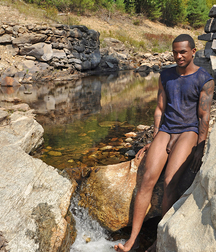 Great Tissues 5a29a2d5bbab6.jpg