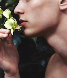 Paris flowers 5a98608f802d1.jpg