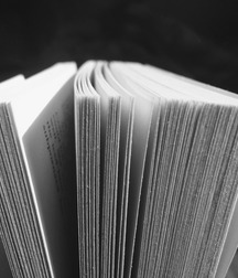 Bern Stop ! I'm Reading ! 5ab2e45568dd3.jpg