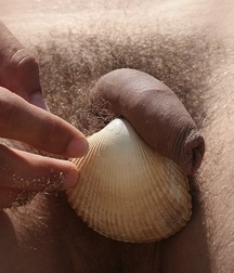 Temptations 5ae6250f0b76e.jpg