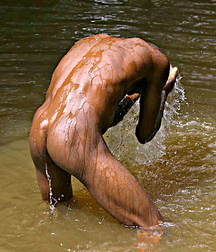 Sea, Sex and Sun 5b1ecae88c7dc.jpg
