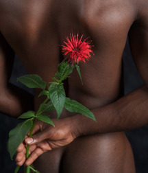 Some flowers, some paintings 5b660abbefb3e.jpg