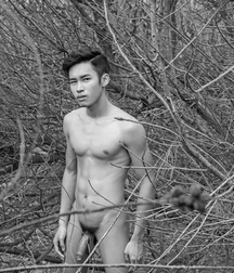 All to please 5b7c9294df4b7.jpg