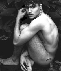 The devil's beauty 5b88506c54b9a.jpg