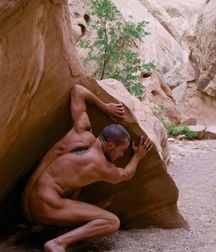 Art Photograhers 5babe2da60887.jpg