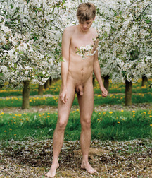 Art Photograhers 5babe3004d1ed.jpg