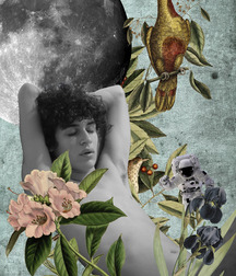 Art Photograhers 5babe307becc7.jpg