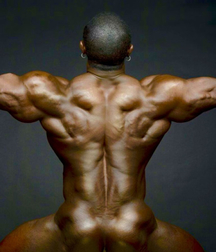 Muscles make man ! 5bca2462e17d1.jpg