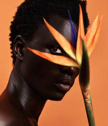 International Contemporary Art Show 5bccdf1d1c1a0.jpg