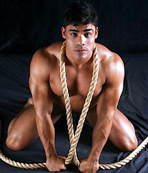 Muscles, muscles ! 5c0ad52b38fb4.jpg