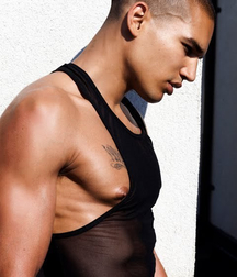The skin for garment 5c3f3c8396216.jpg